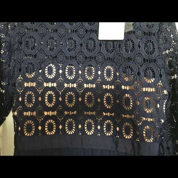 Little Mistress Petite Navy Blue Lace Midi Dress - Picture 7 of 7